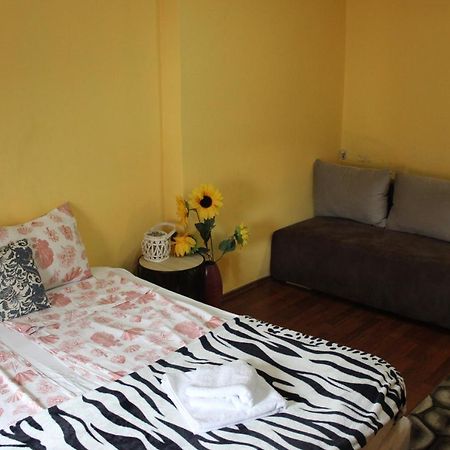 Vitoshka Biggest Apartment โซเฟีย ภายนอก รูปภาพ
